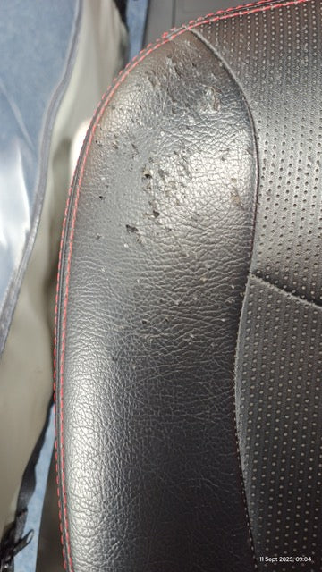 TGA Breeze S4 with canopy (used)