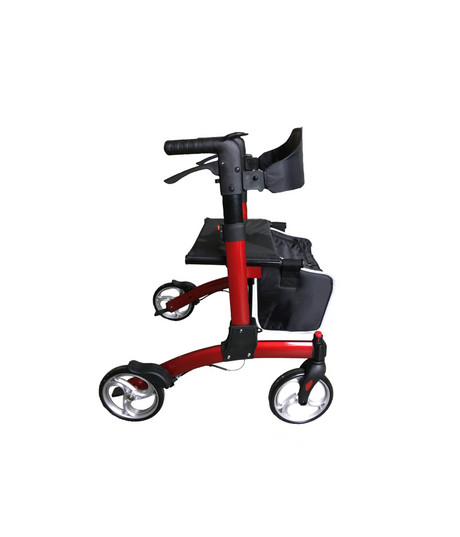 Dash Rehab Fold Down